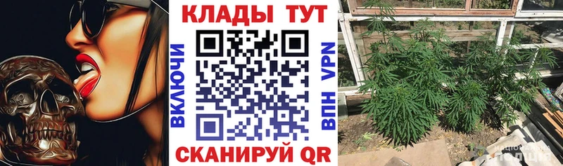 Продажа наркотиков Старая Русса Канабис A-PVP АМФ ГАШИШ