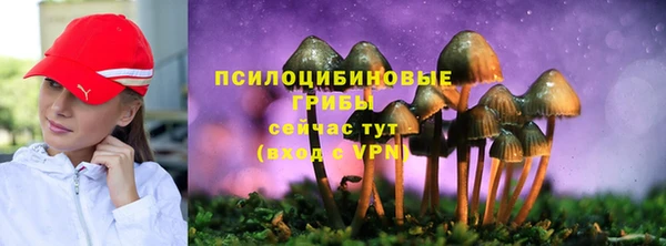 дурь Абдулино