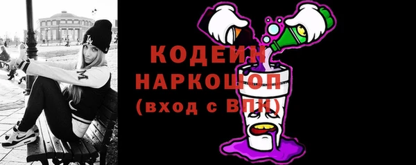 шишки Абаза