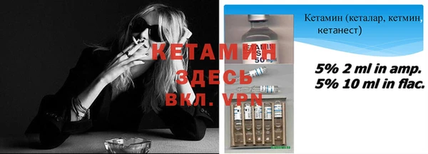 шишки Абаза