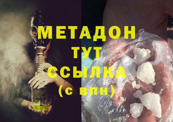 шишки Абаза