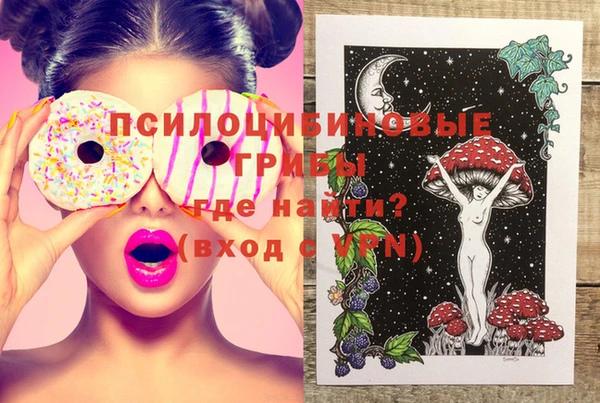 индика Алзамай