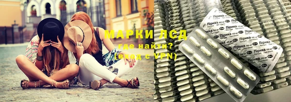 шишки Абаза