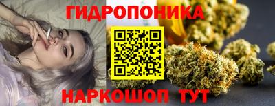 СК Тулун