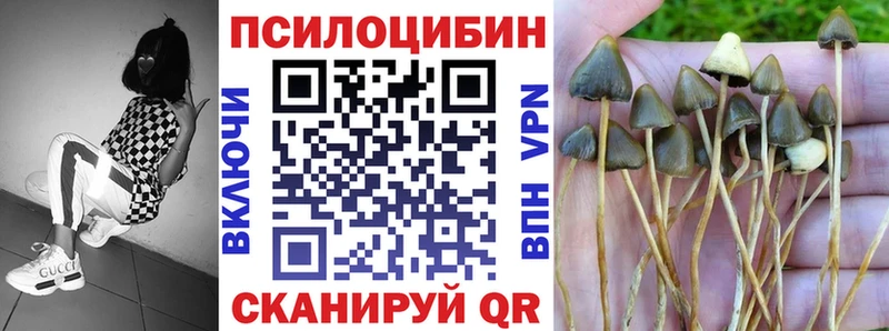 Галлюциногенные грибы GOLDEN TEACHER  Старая Русса 